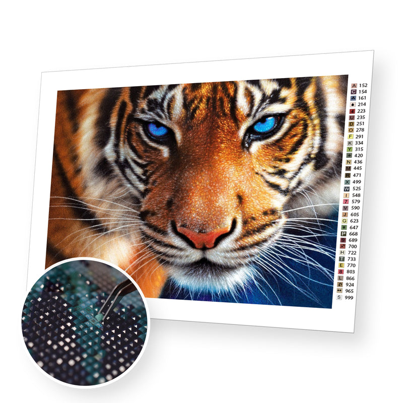 Tiger Close-Up premium diamond painting kit for adults