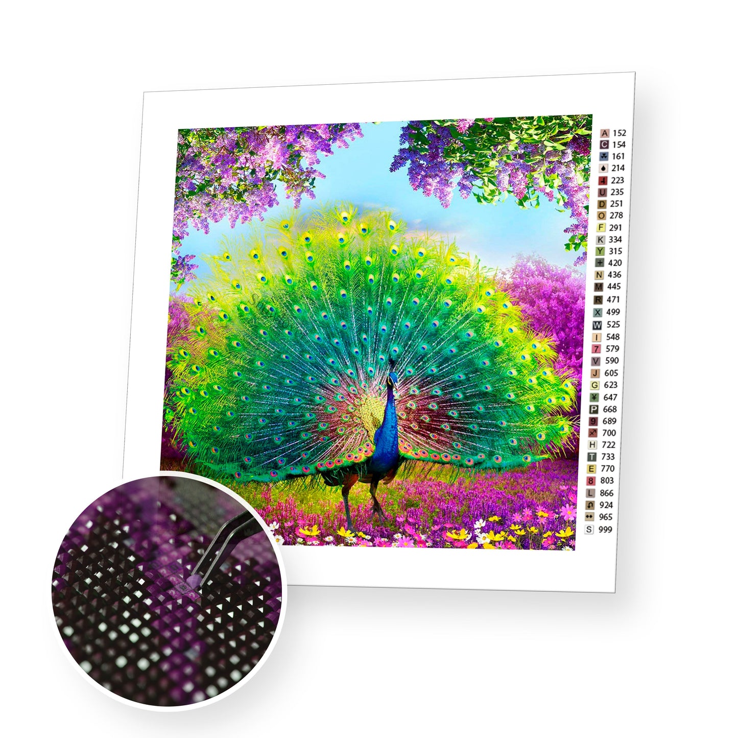 Wealth by Peacock premium diamond painting kit for adults